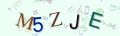 This is a captcha-picture. It is used to prevent mass-access by robots. (see: www.captcha.net)